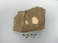 藏品(磨製石器)的圖片